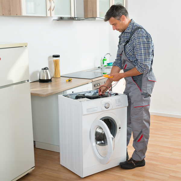 what are common issues that can arise with a washer in Clarkston Heights-Vineland